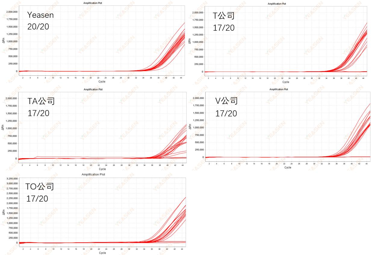 图. 使用ASFV引物探针，对ASFV质粒(终体系3 copies)进行20个复孔的检测,比较各个品牌试剂的检出率，可以看到Yeasen qPCR mix的检出率更高。.jpg